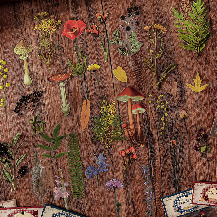 Vintage PET Stickers Linmist Echo Botanical Pack