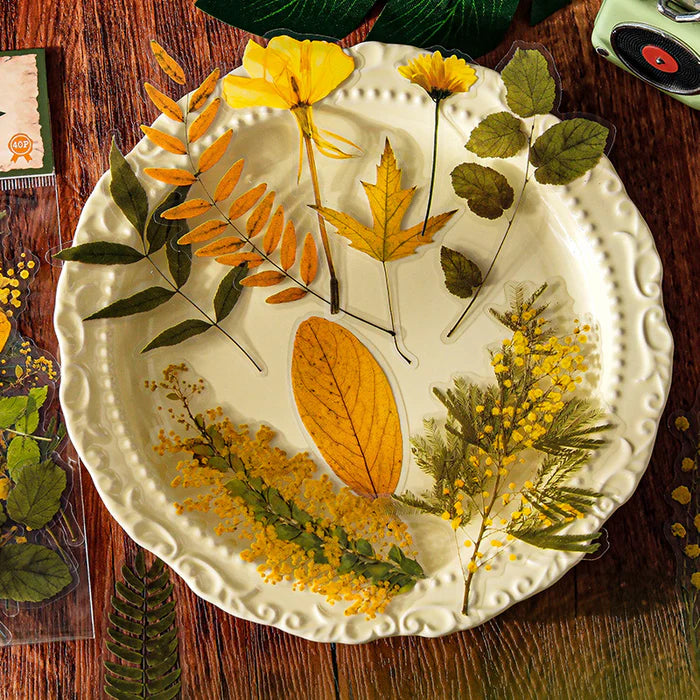 Vintage PET Stickers Linmist Echo Botanical Pack