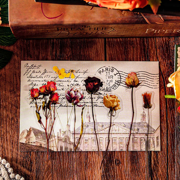 Vintage PET Stickers Linmist Echo Botanical Pack