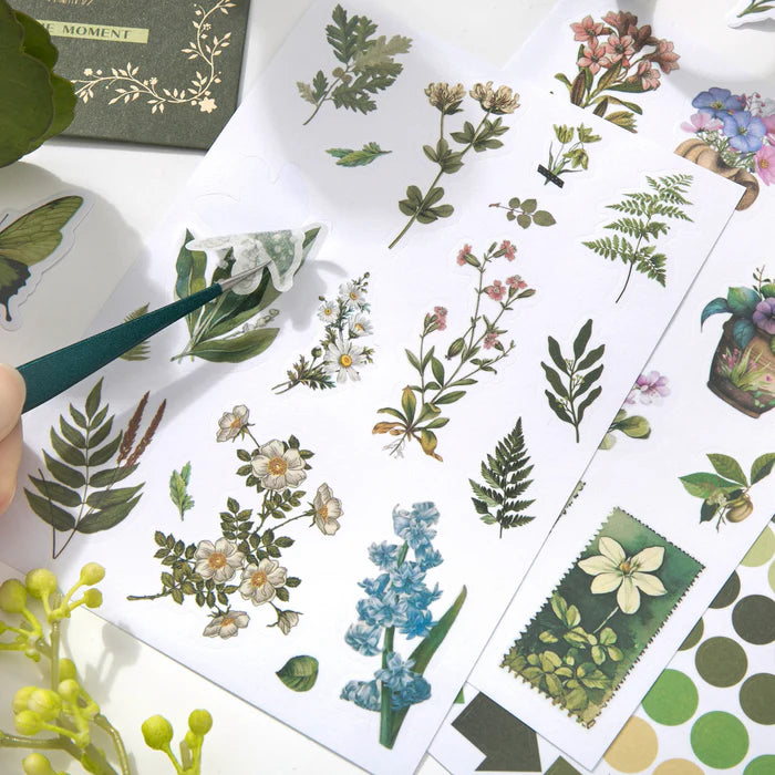 Nature Journal Sticker Box Nature Impression